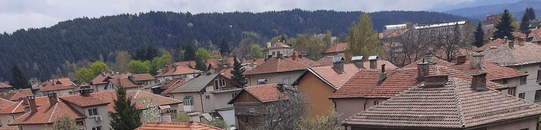 received_875779123641458