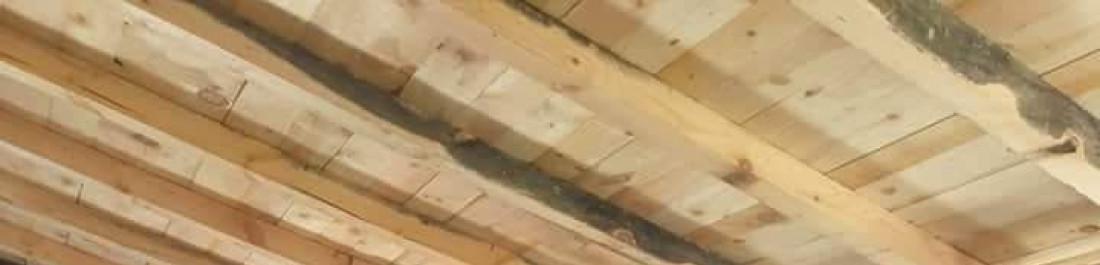 received_542697207643292