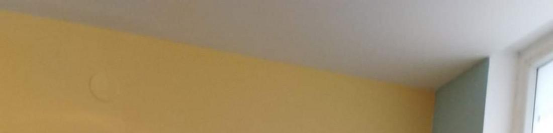 FB_IMG_1679826605383