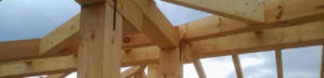 label.cover - Асен Илиев