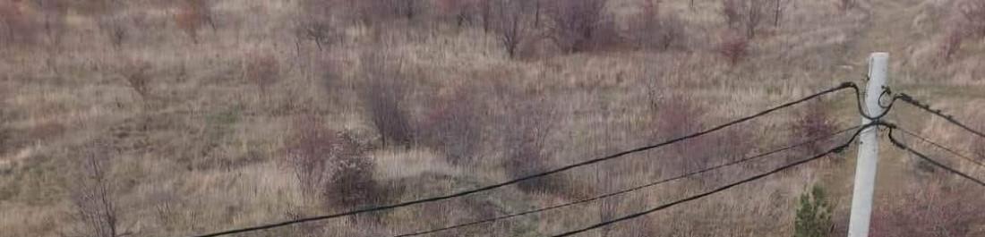 FB_IMG_1742212758217