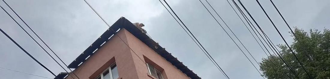 FB_IMG_1743719764732