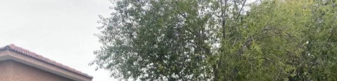 label.cover - Илия Михайлов