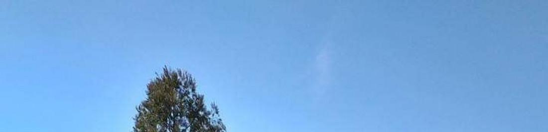 label.cover - Георги Петров