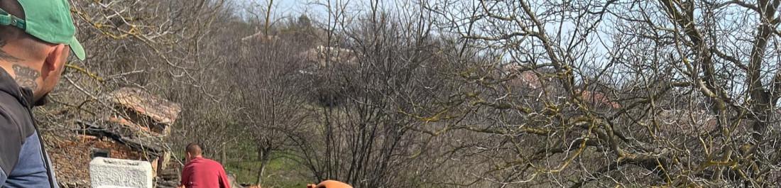 label.cover - Николай Христов