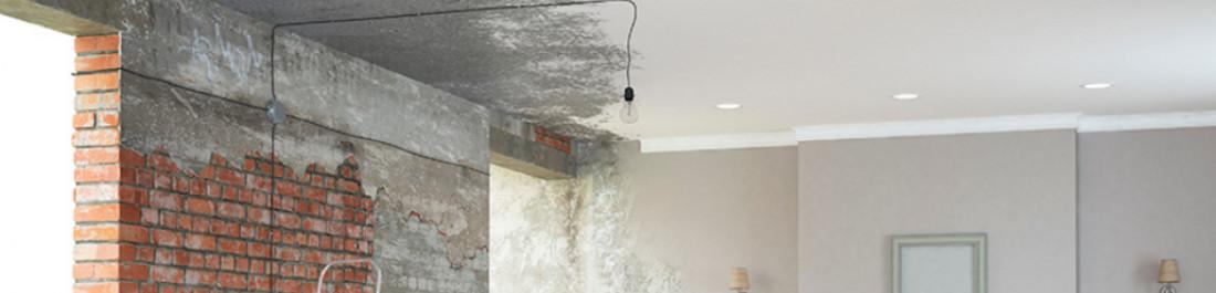 label.cover - Орлин Йолков