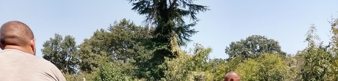 label.cover - Георги Ангелов