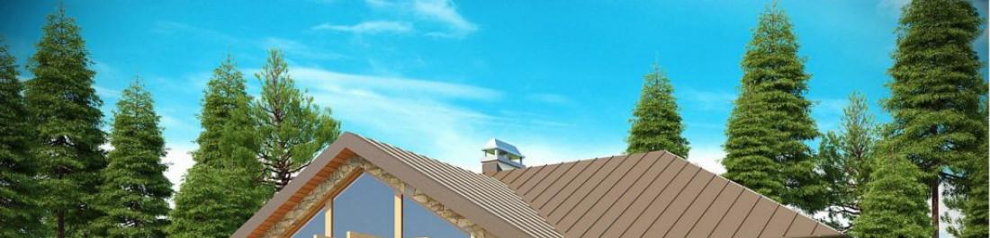 label.cover - TSENKO BOYADZHIEV