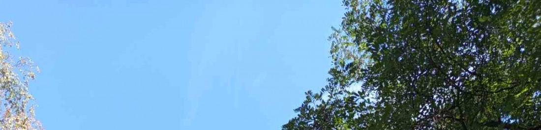 label.cover - Григор Илиев