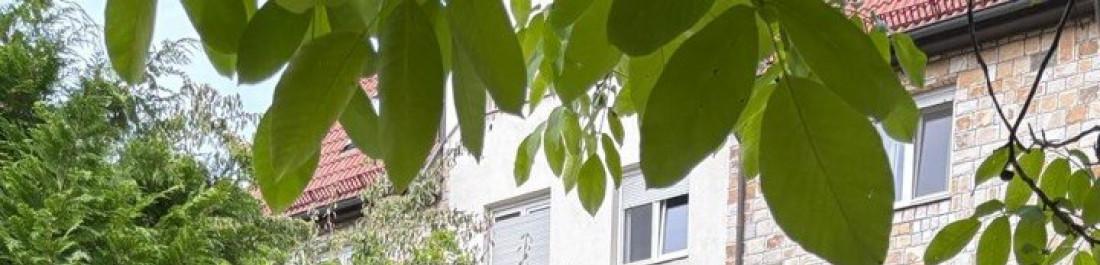 Езерото, люлка, жив плет!