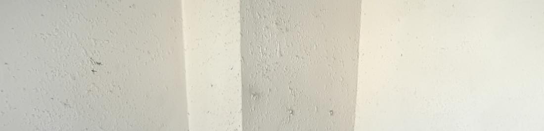 IMG_20250105_120151_999