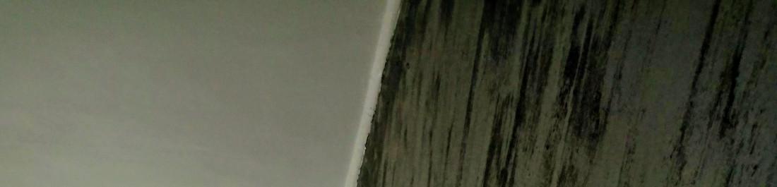 IMG_20250611_132938_519~2