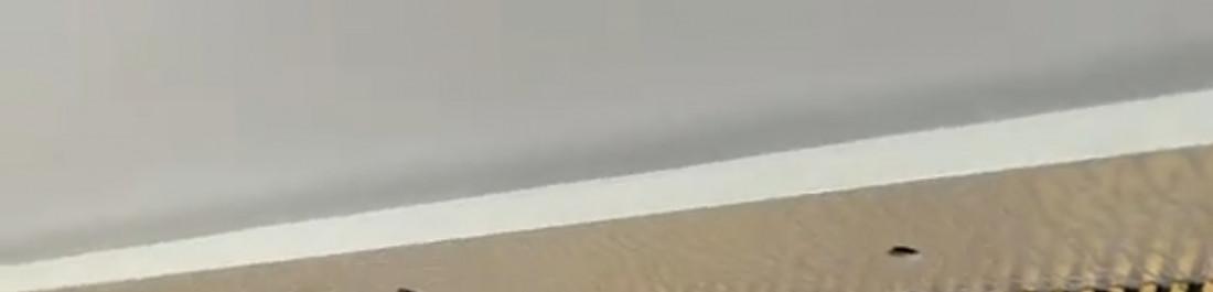 label.cover - Bojidar Qjkov