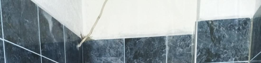 IMG_20220614_181829_561