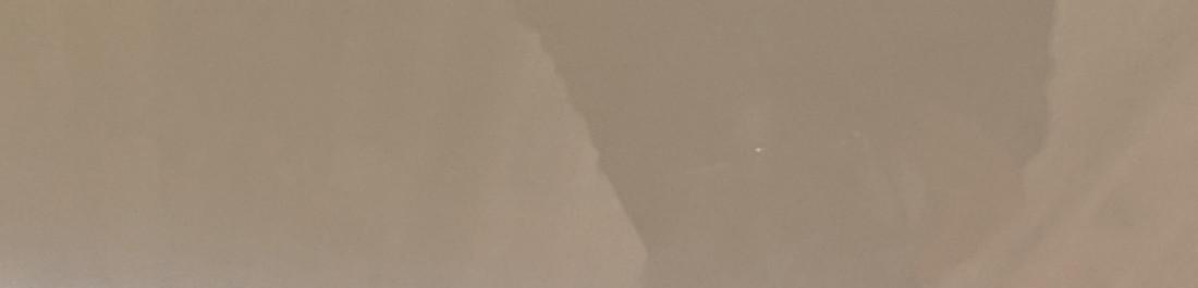 label.cover - Георги Янев