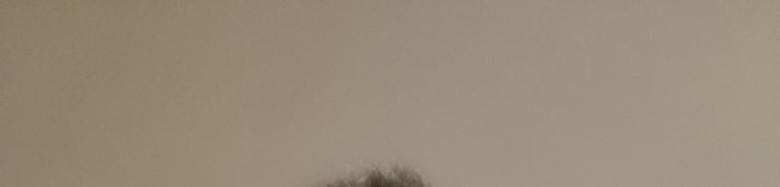 label.cover - Атанас Иванов