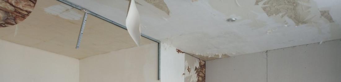 20260326_064327_0000~2