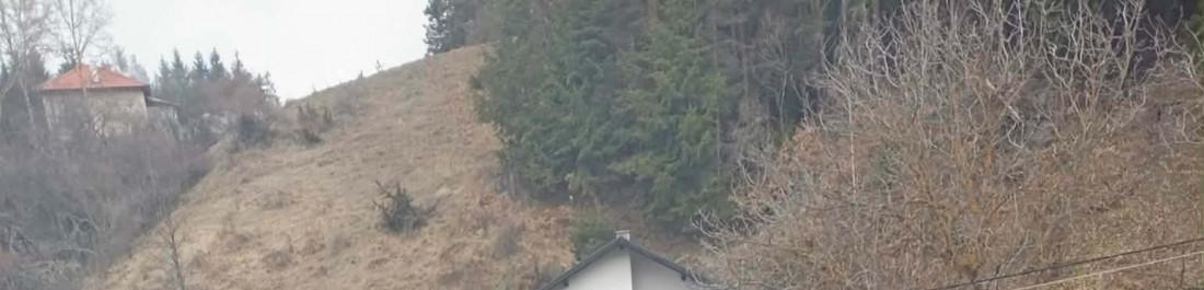 label.cover - Веселина Стоименова