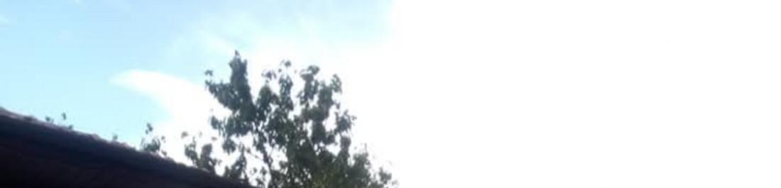 label.cover - Емил Ангелов