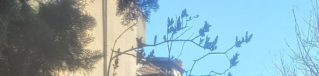 20260408_151057