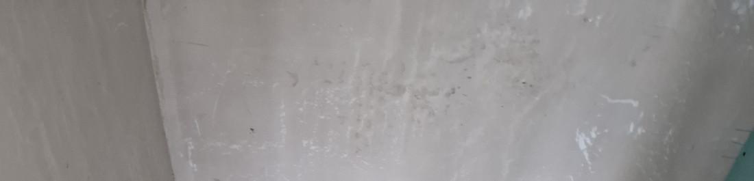 1000019538