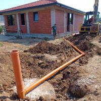 Профилна снимка - Димитър Боснев