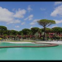 Профилна снимка - Илия Михайлов