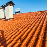 Профилна снимка - Tsvetelin Kostadinov