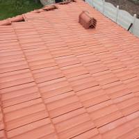 Профилна снимка - Мария Димитрова