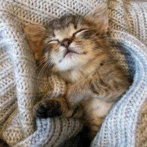 Мисия с повишена трудност