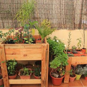 Превърнете малкия балкон в китна градина