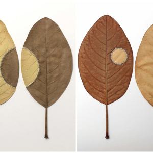 В началото листата се чупят постоянно