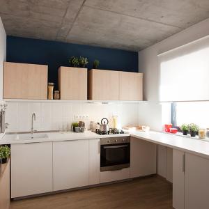 Кухнята се придържа към доминиращия стил в жилището