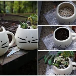 Декорирайте первазите на прозорците с дребни растения