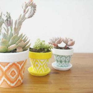 Саксии, декорирани по ваш шаблон