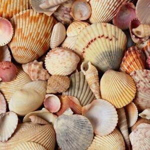 Допълнителна украса