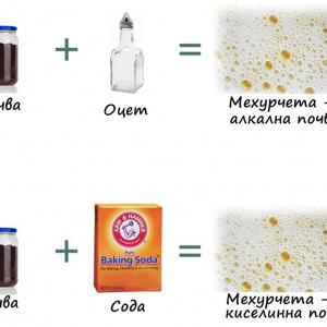 Тест на почвата за алкалност и киселинност