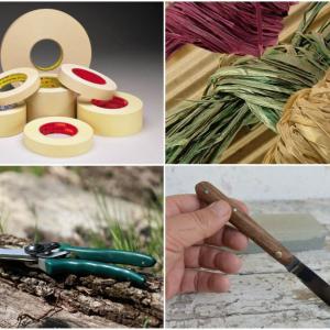 Необходими инструменти за присаждане на дръвче от пъпка