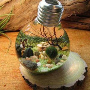 Очарователен малък аквариум