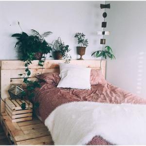 Достъпна цена!