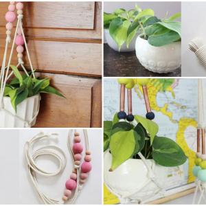 Открийте нов начин за аранжиране на стайните растения