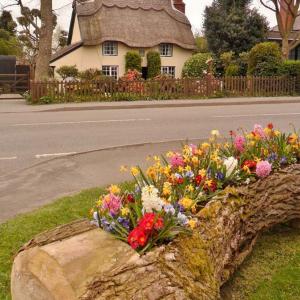 Идейна хрумка за градината и двора