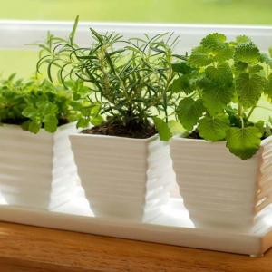 Изберете слънчево място