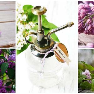 Люляк е вълшебна дума