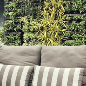 Вътрешни вертикални градини