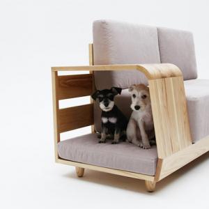 Подлакътникът на дивана приютява домашния любимец