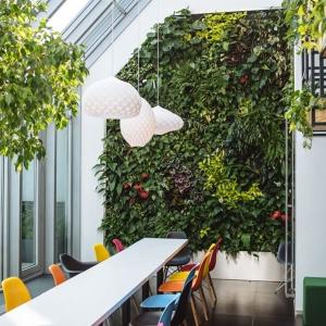 Офисът се превръща в естетическо пространство със стена от живи растения