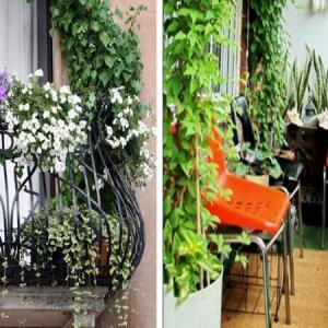 НЕ ПУБЛИКУВАЙ - 5 очарователни идеи за цветна градина за балкона