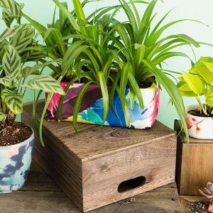 Стъпка 4: Аранжирайте с вкус и внимание към детайлите