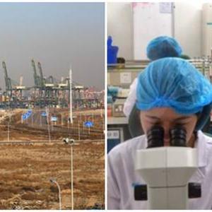 Необходимост... или лудост?